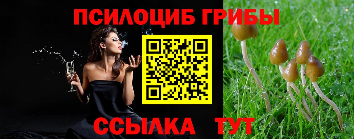 Псилоцибиновые грибы Psilocybine cubensis  Вход с VPN  Сланцы  Галлюциногенные грибы Cubensis 