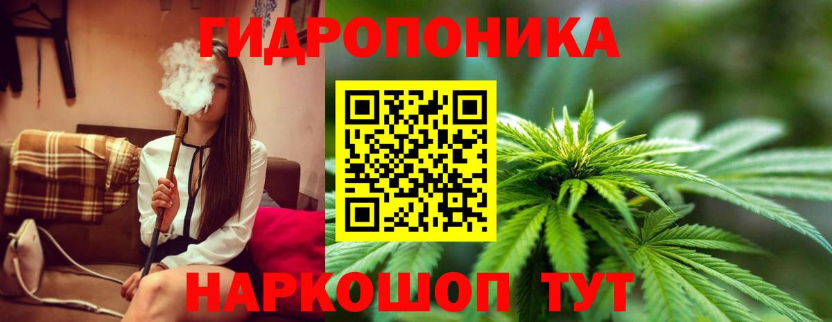 Канабис SATIVA & INDICA Сланцы